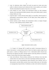 Anterpreneris ir charizmatinis lyderis 8 puslapis