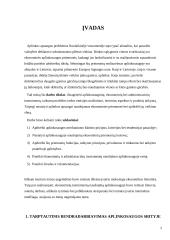 Aplinkosaugos mechanizmas 2 puslapis