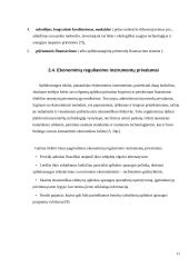 Aplinkosaugos mechanizmas 11 puslapis