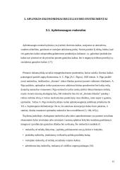 Aplinkosaugos mechanizmas 12 puslapis