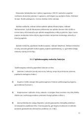 Aplinkosaugos mechanizmas 13 puslapis