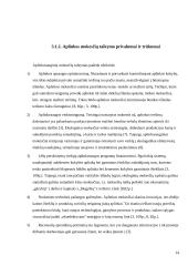 Aplinkosaugos mechanizmas 14 puslapis