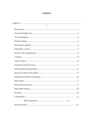 Puslapių kūrimas naudojant rėmus 2 puslapis