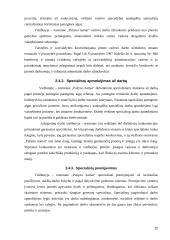 Apmokėjimo už darbą ir premijavimo sistemos įmonėje 20 puslapis