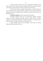 Apmokėjimo už darbą organizavimas: UAB "Gintaras" 12 puslapis
