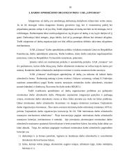 Apmokėjimo už darbą organizavimas: UAB "Gintaras" 16 puslapis