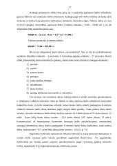 Apmokėjimo už darbą organizavimas: UAB "Gintaras" 17 puslapis