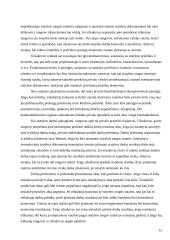 Rangovo ir užsakovo teisės ir pareigos 12 puslapis