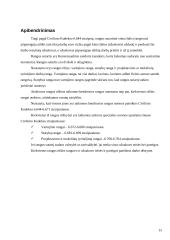 Rangovo ir užsakovo teisės ir pareigos 15 puslapis