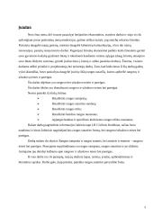 Rangovo ir užsakovo teisės ir pareigos 3 puslapis