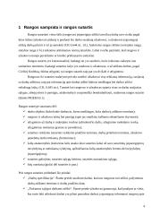 Rangovo ir užsakovo teisės ir pareigos 4 puslapis