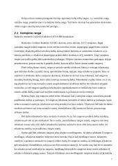 Rangovo ir užsakovo teisės ir pareigos 7 puslapis