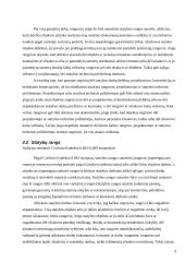 Rangovo ir užsakovo teisės ir pareigos 9 puslapis