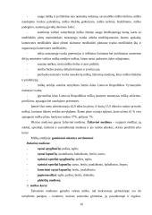 Apskaitos duomenų kaupimas ūkinės veiklos rezultatams apskaičiuoti ir šios informacijos naudojimas vadyboje VĮ "Šiaulių miškų ur 16 puslapis