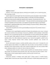 Apskaitos duomenų parengimas metiniam balansui sudaryti ir jo informacijos naudojimas vadyboje APB "Apranga" atžvilgiu 12 puslapis