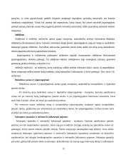 Apskaitos duomenų parengimas metiniam balansui sudaryti ir jo informacijos naudojimas vadyboje APB "Apranga" atžvilgiu 13 puslapis