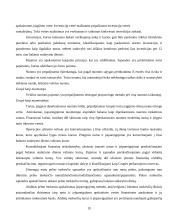 Apskaitos duomenų parengimas metiniam balansui sudaryti ir jo informacijos naudojimas vadyboje APB "Apranga" atžvilgiu 19 puslapis