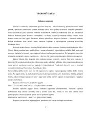 Apskaitos duomenų parengimas metiniam balansui sudaryti ir jo informacijos naudojimas vadyboje APB "Apranga" atžvilgiu 4 puslapis