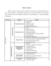 Apskaitos duomenų parengimas metiniam balansui sudaryti ir jo informacijos naudojimas vadyboje APB "Apranga" atžvilgiu 6 puslapis