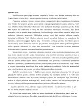 Apskaitos duomenų parengimas metiniam balansui sudaryti ir jo informacijos naudojimas vadyboje APB "Apranga" atžvilgiu 9 puslapis