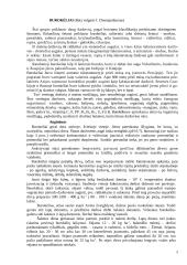 Raudonieji burokėliai 2 puslapis