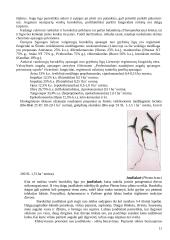 Raudonieji burokėliai 11 puslapis