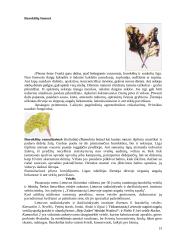 Raudonieji burokėliai 13 puslapis