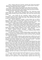 Raudonieji burokėliai 14 puslapis