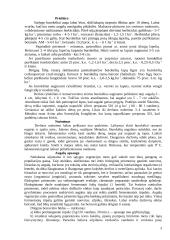 Raudonieji burokėliai 3 puslapis