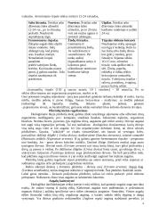 Raudonieji burokėliai 4 puslapis