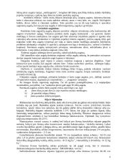 Raudonieji burokėliai 5 puslapis