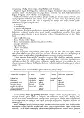 Raudonieji burokėliai 6 puslapis