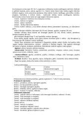 Raudonieji burokėliai 7 puslapis