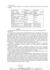 Raudonieji burokėliai 8 puslapis