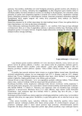 Raudonieji burokėliai 10 puslapis