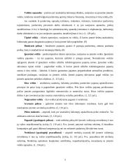 Apskaitos duomenų parengimas pelno (nuostolio) ataskaitai ir jos informacijos panaudojimas UAB "Namų Statyba" vadybinėje veikloj 5 puslapis