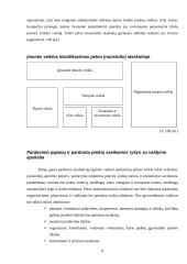 Apskaitos duomenų parengimas pelno (nuostolio) ataskaitai ir jos informacijos panaudojimas UAB "Namų Statyba" vadybinėje veikloj 8 puslapis
