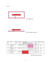 Rausvojo sausučio ir Manglezo sausučio morfologiniai požymiai 11 puslapis