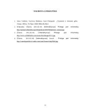 Rausvojo sausučio ir Manglezo sausučio morfologiniai požymiai 13 puslapis