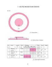 Rausvojo sausučio ir Manglezo sausučio morfologiniai požymiai 10 puslapis