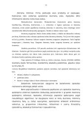 Apskaitos programų įtaka įmonės informacinei sistemai 11 puslapis