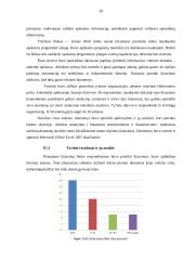 Apskaitos programų įtaka įmonės informacinei sistemai 19 puslapis