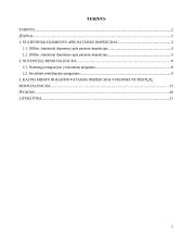 Asmenų, grįžusių iš įkalinimo įstaigų, resocializacijos galimybės 2 puslapis