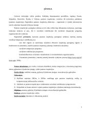 Asmenų, grįžusių iš įkalinimo įstaigų, resocializacijos galimybės 3 puslapis