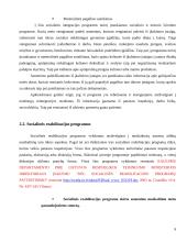 Asmenų, grįžusių iš įkalinimo įstaigų, resocializacijos galimybės 9 puslapis