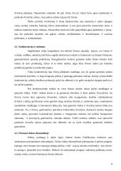 Rinkos ekonomika 8 puslapis