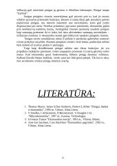 Rinkos ekonomikos prielaidos. Kaštai. Pinigai 11 puslapis