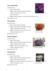 Rododendrai 7 puslapis