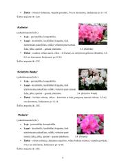 Rododendrai 9 puslapis