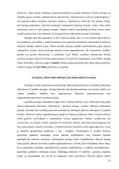 Atsargų apskaitos metodas 12 puslapis